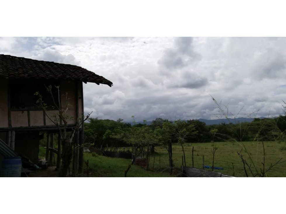 SE VENDE FINCA ENTRE ARGELIA VALLE COLOMBIA - 1