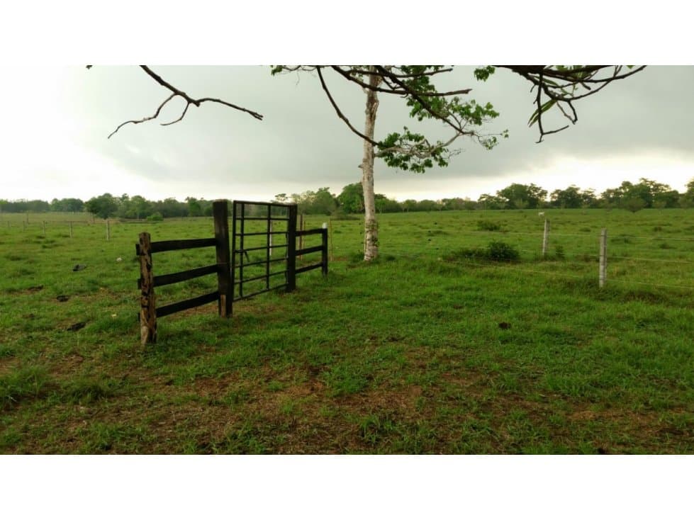 SC INMOBILIARIA VENDE FINCA EN BUENAVISTA-CÓRDOBA - 1