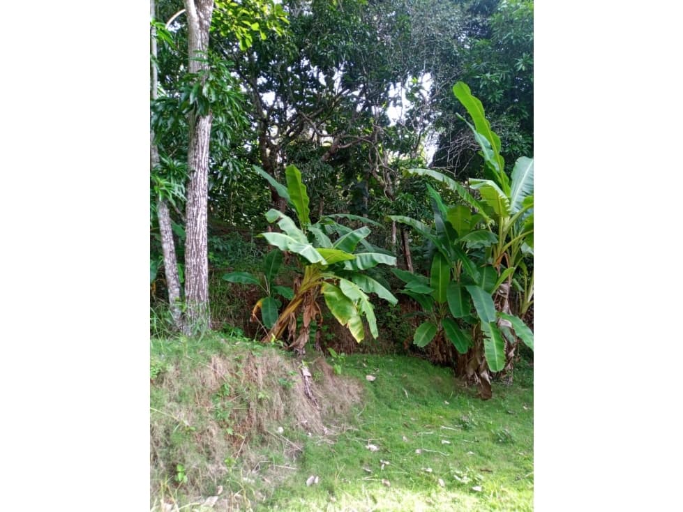 EN VENTA FINCA VÍA VALENCIA CÓRDOBA COLOMBIA - 1