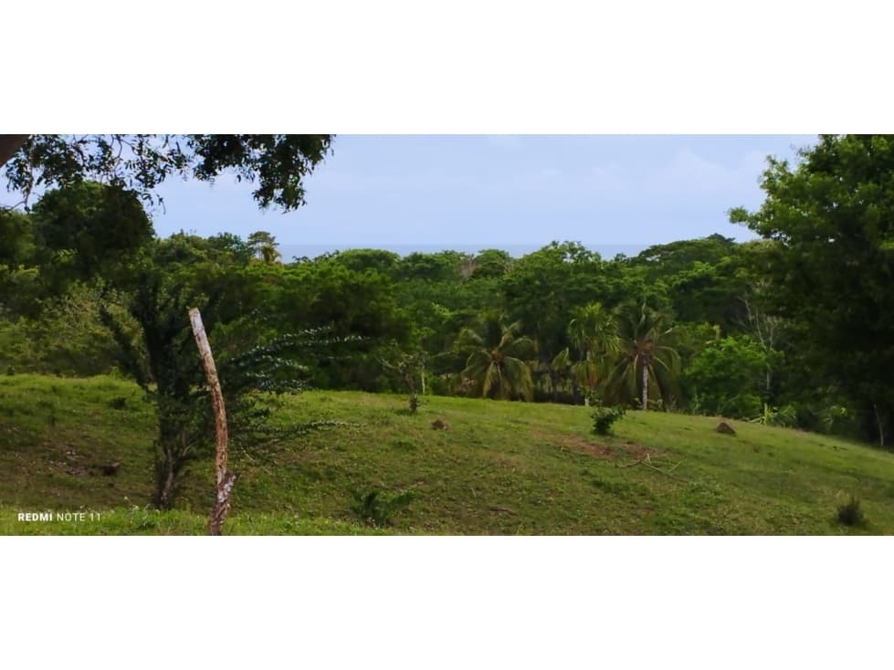 EN VENTA FINCA VIA A MOÑITOS CORDOBA COLOMBIA - 1