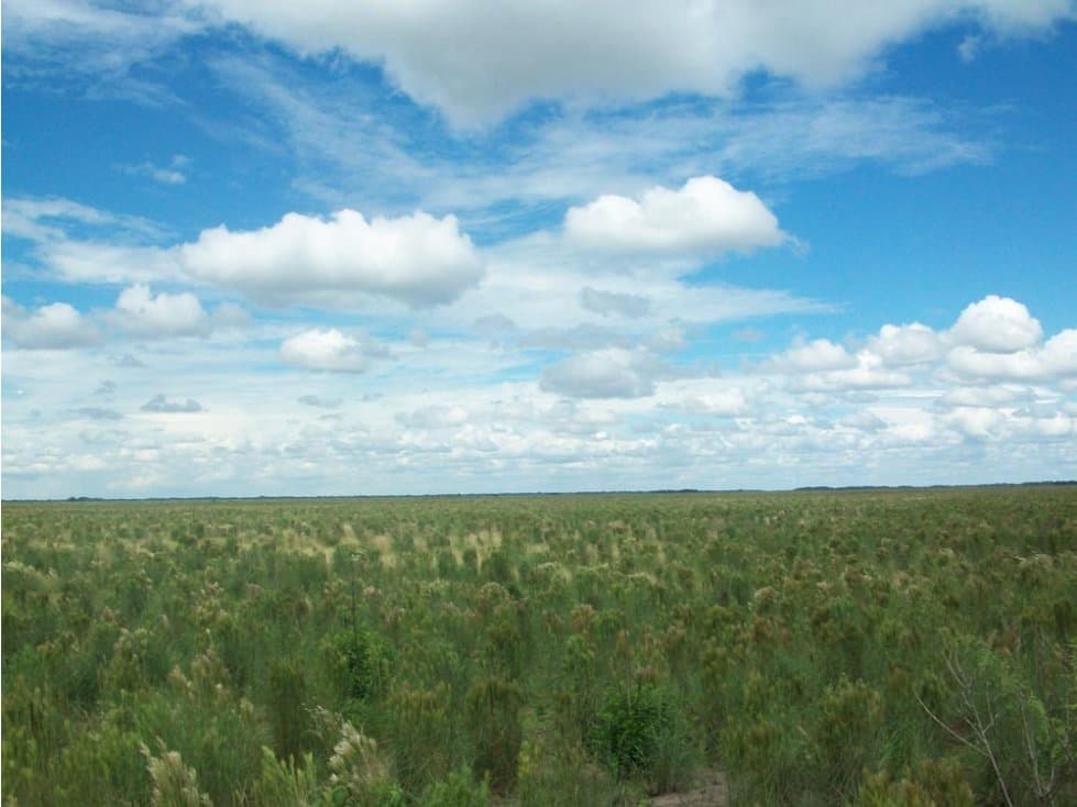 FINCA DE 2.539 HECTAREAS -GANADERA Y ARROCERA EN MANI -CASANARE - 1