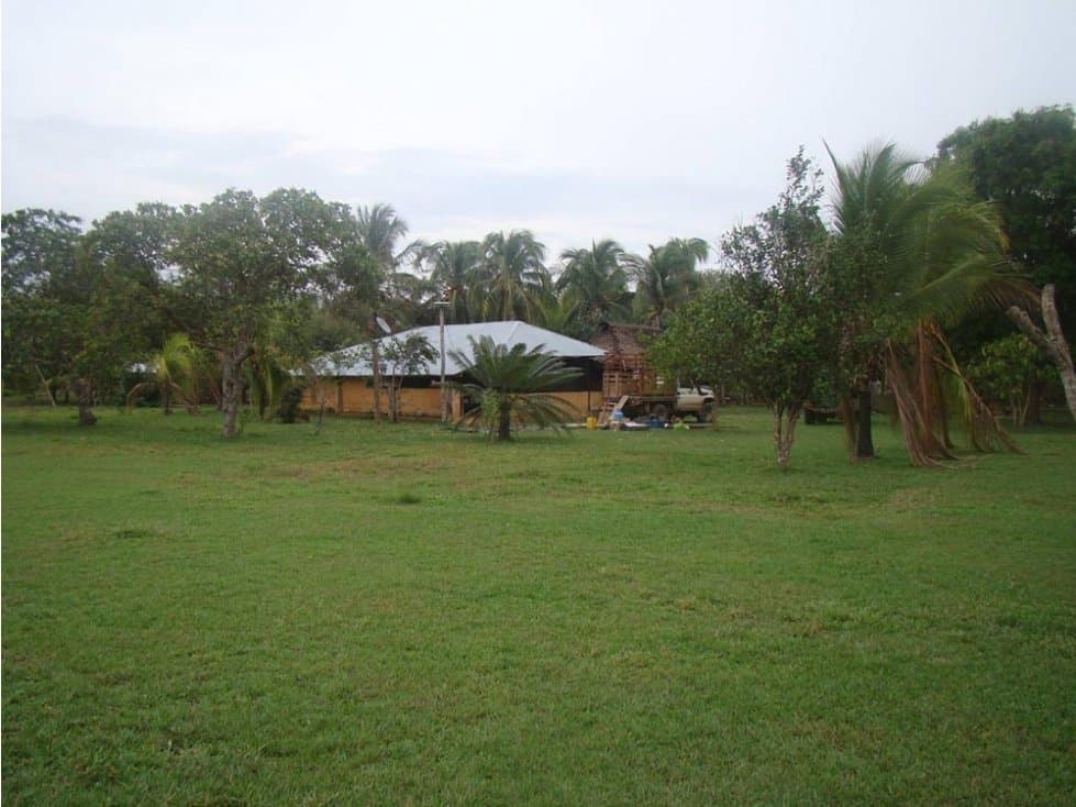FINCA DE 823 HECTAREAS LA PRIMAVERA - VICHADA - 1