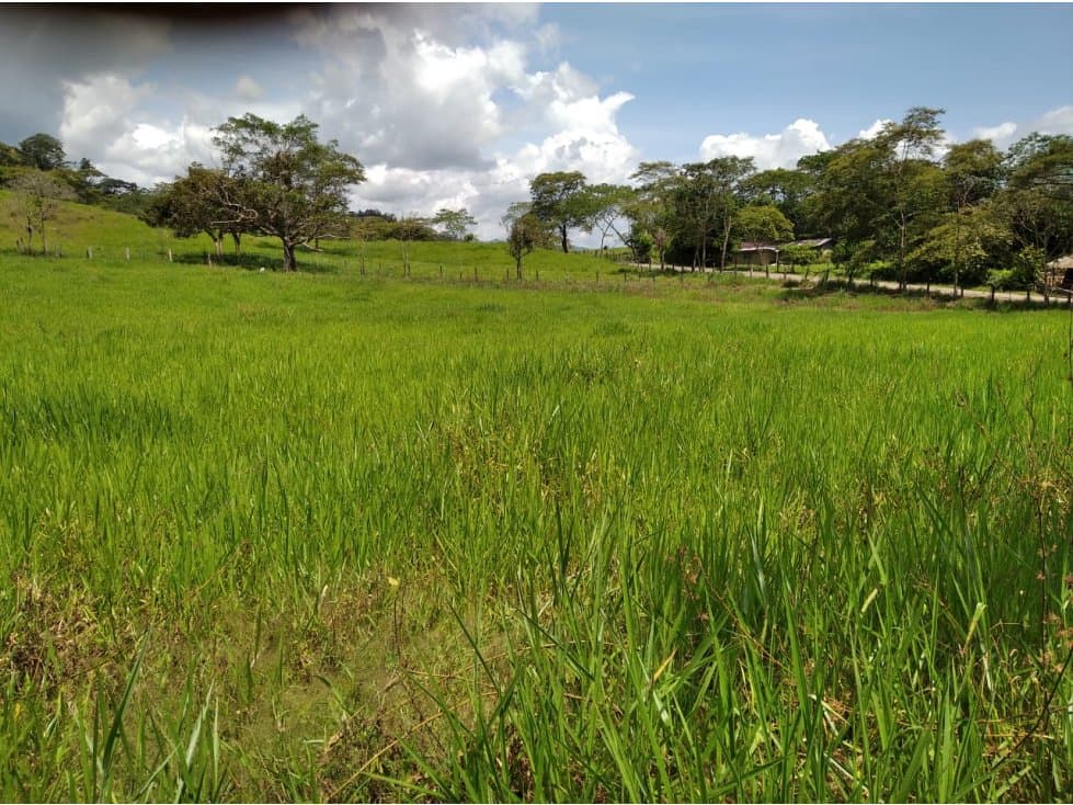 FINCA DE 23 HECTAREAS EN MEDINA-CUNDINAMARCA - 1