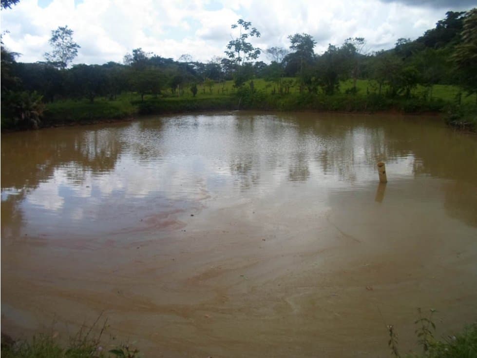 FINCA PISCICOLA DE 5 HECTAREAS CON TODOS LOS PERMISOS EN CUBARRAL - 1