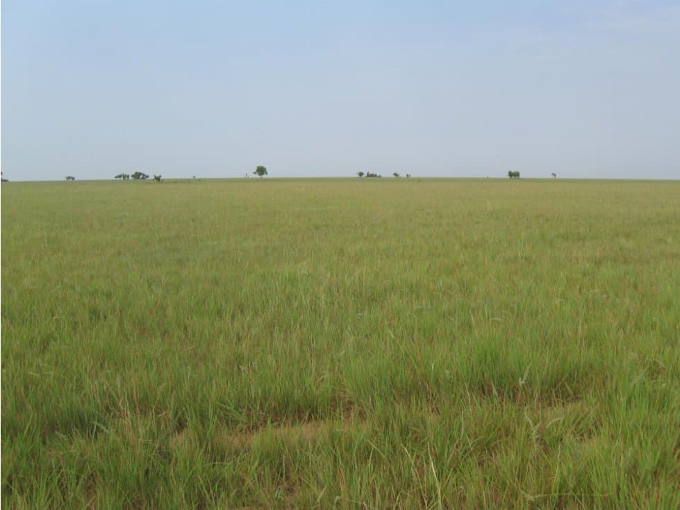 FINCA DE 34.294 HECTAREAS EN EL VIENTO- VICHADA - 1