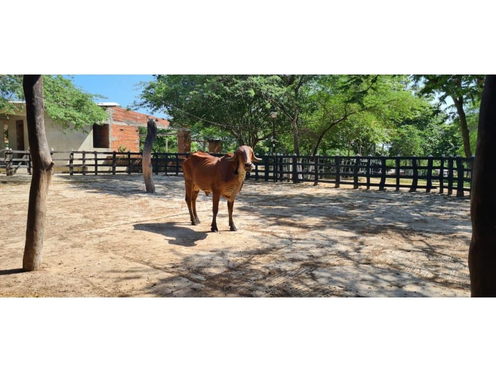 VENTA DE FINCA EN BARANOA - 1