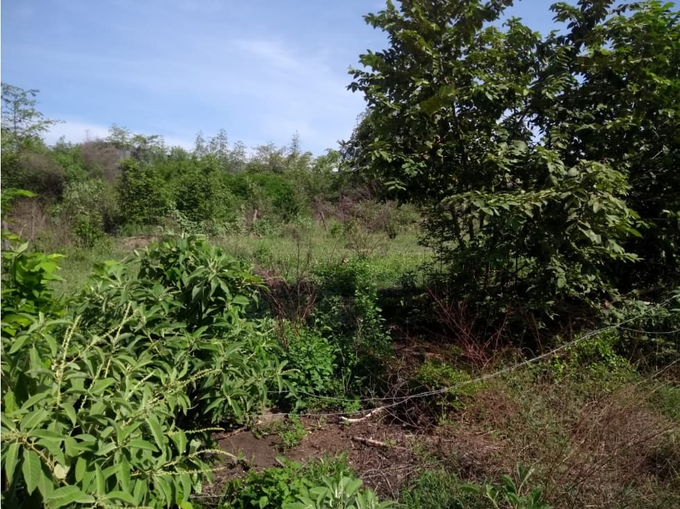 LOTE CAMPESTRE NATAGAIMA TOLIMA - 1