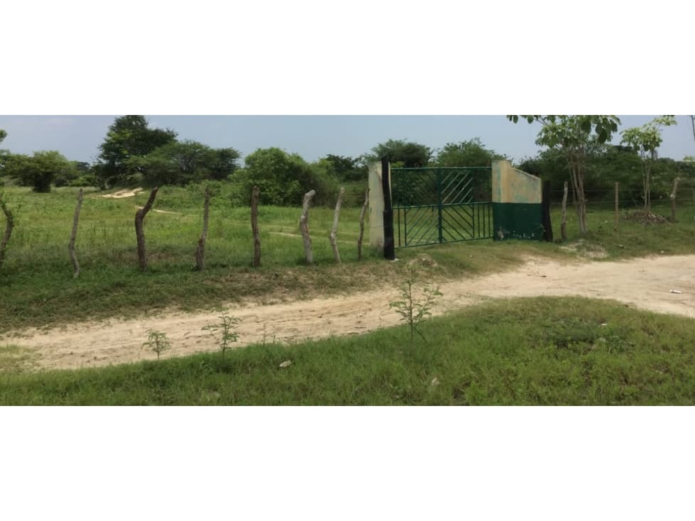 FINCA EN PALMAR DE VARELA - 1