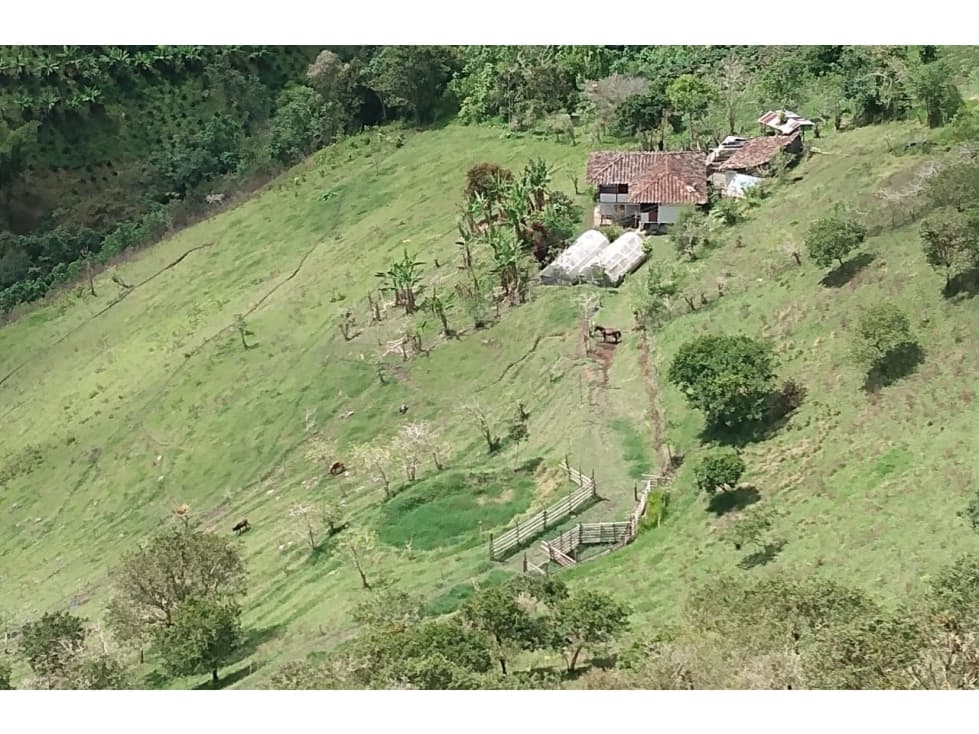 SE VENDE FINCA DE PASTO EN VERSALLES - 1