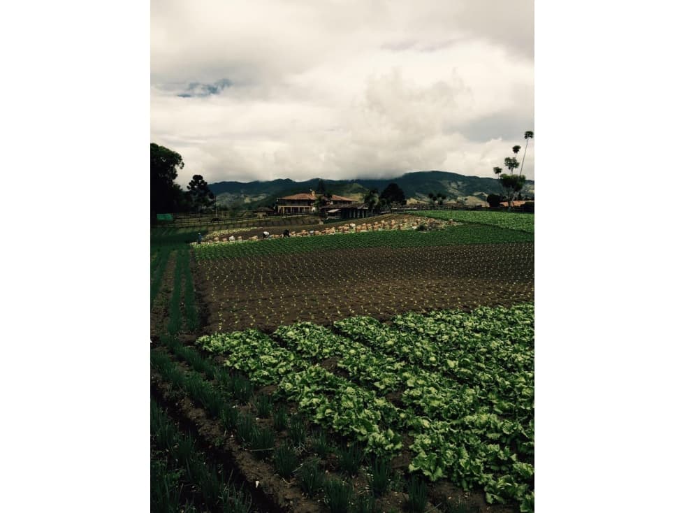 Venta de lote urbano en Sonsón, Antioquia - 1