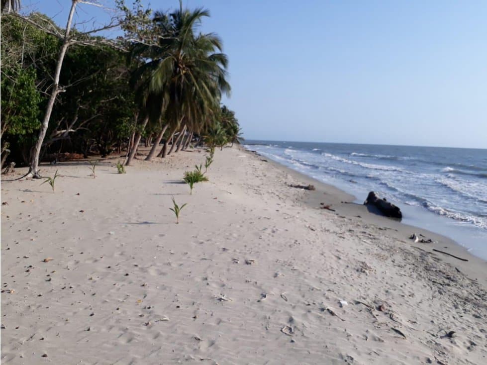Finca en venta en San Onofre Sucre - 1