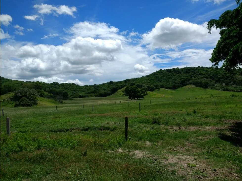 Finca en venta en el Tolima - 1