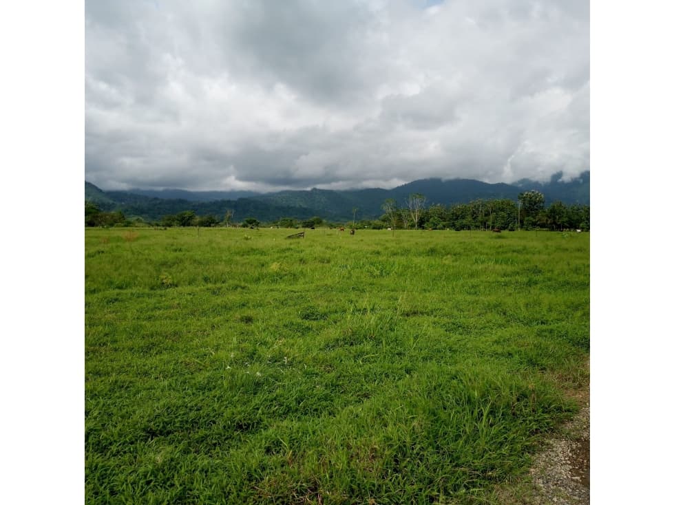 Finca en venta en Mutatá Urabá Antioquia - 1