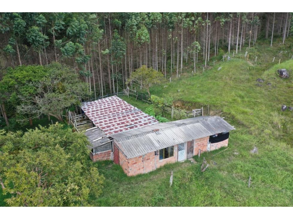 FINCA EN VENTA EN CAROLINA DEL PRINCIPE - 1