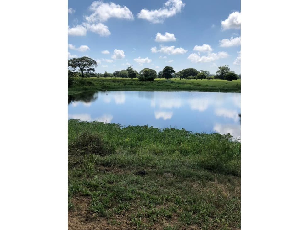 Finca en venta en San Onofre Sucre - 1