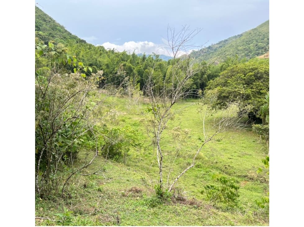 SE RENTA FINCA PARA GANADO EN UMBRIA BELEN DE UMBRIA - 1