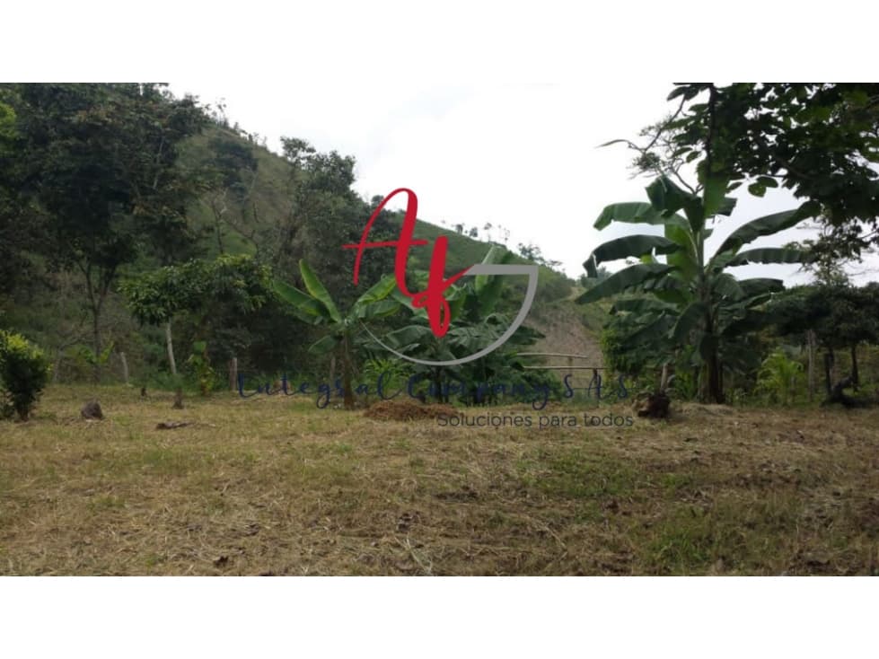 SE VENDE LOTE EN QUIPILE CUNDINAMARCA - 1
