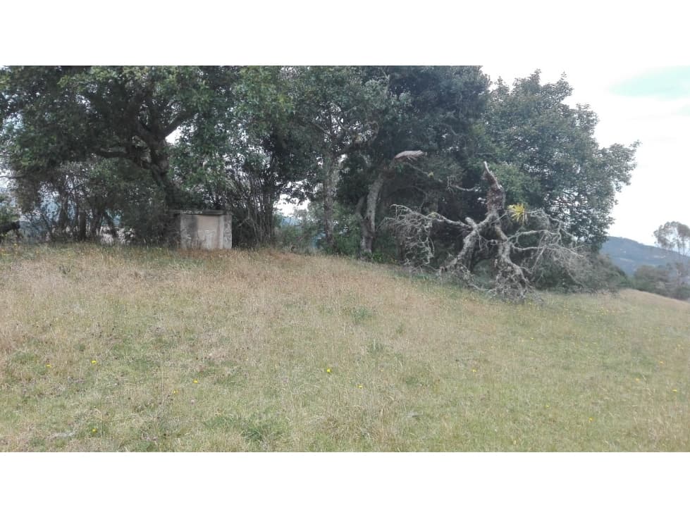 VENTA EXCELENTE FINCA UBICADA EN SESQUILE CUNDINAMARCA - 1