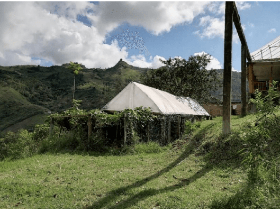 VENTA O PERMUTA DE FINCA EN BELEN DE UMBRIA - 1