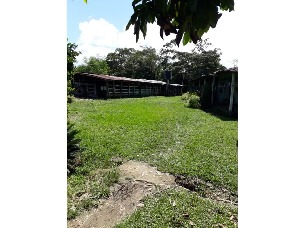 Se Vende Finca En San Juan De Arama 18 Hectareas - 1