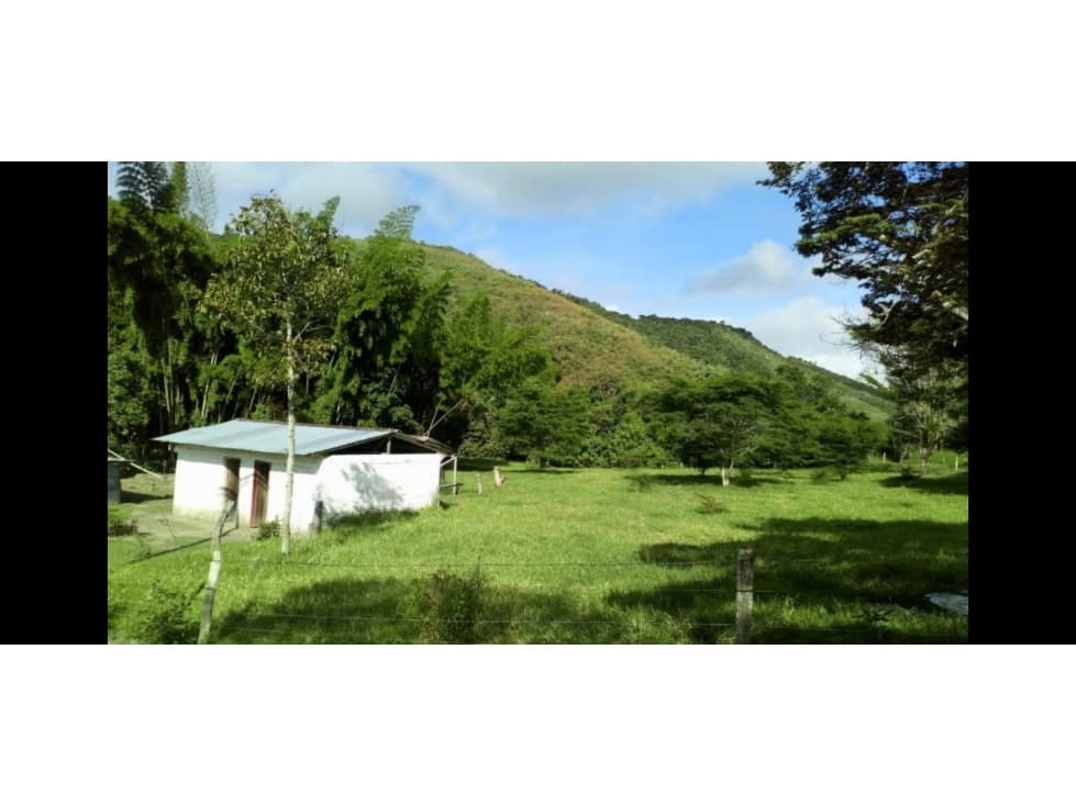 Se vende Finca en El Dovio Valle - 1