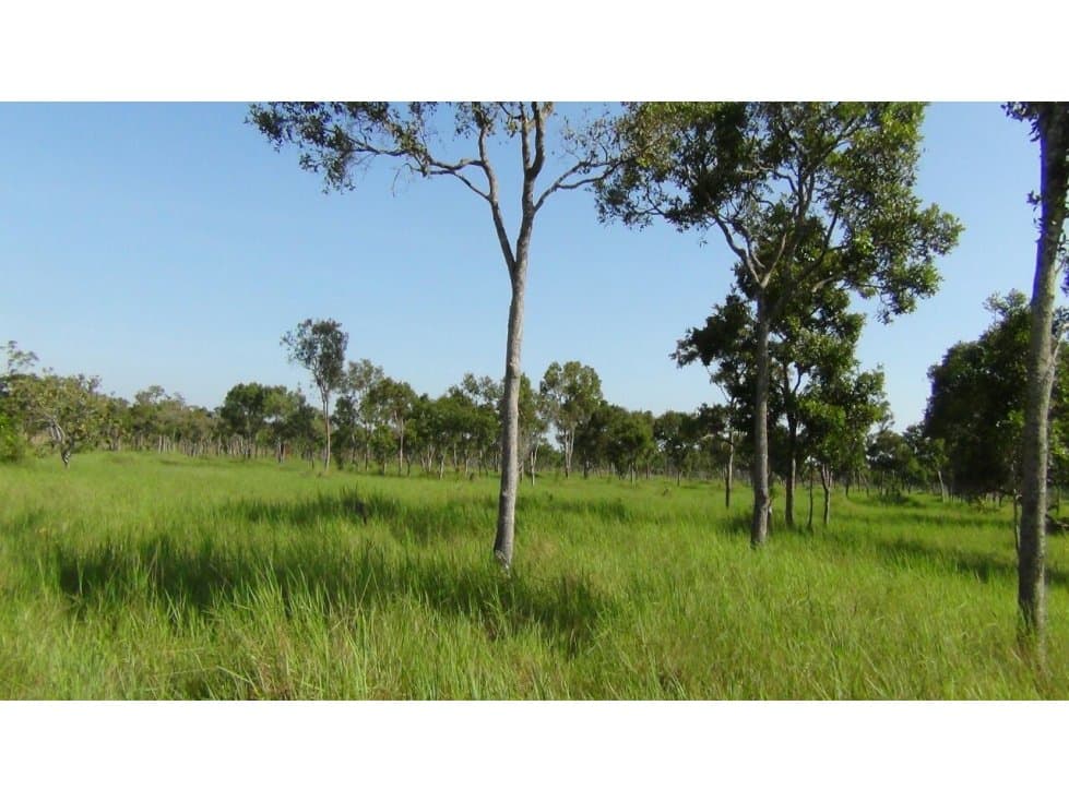 Se vende Finca Puerto Carreño Vichada - 1
