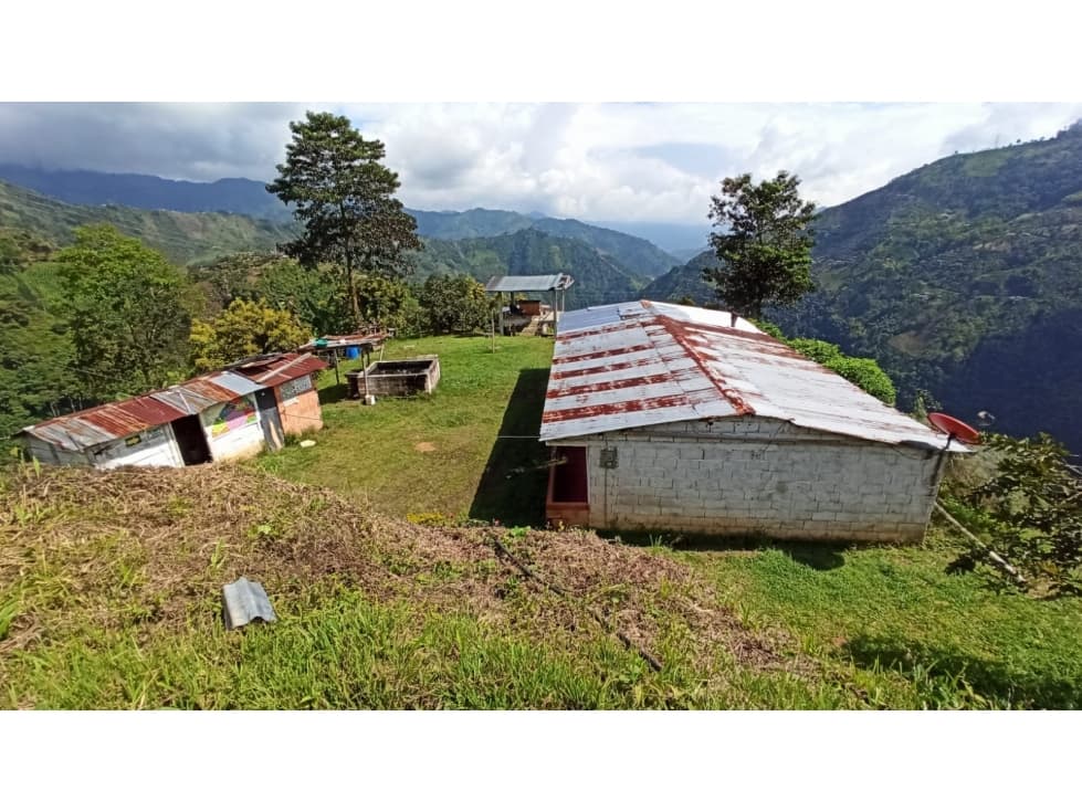 Se vende Finca en Herveo Tolima - 1