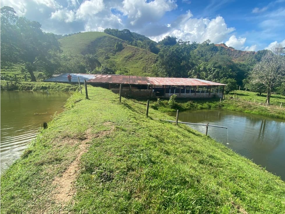 Se vende Finca en Florencia Caquetá - 1