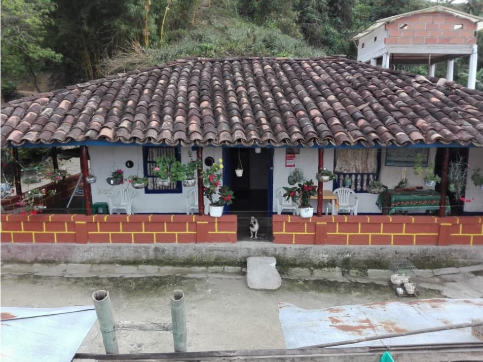 Venta de Casa Finca en Vereda Dos Quebradas, Ebejico - 1