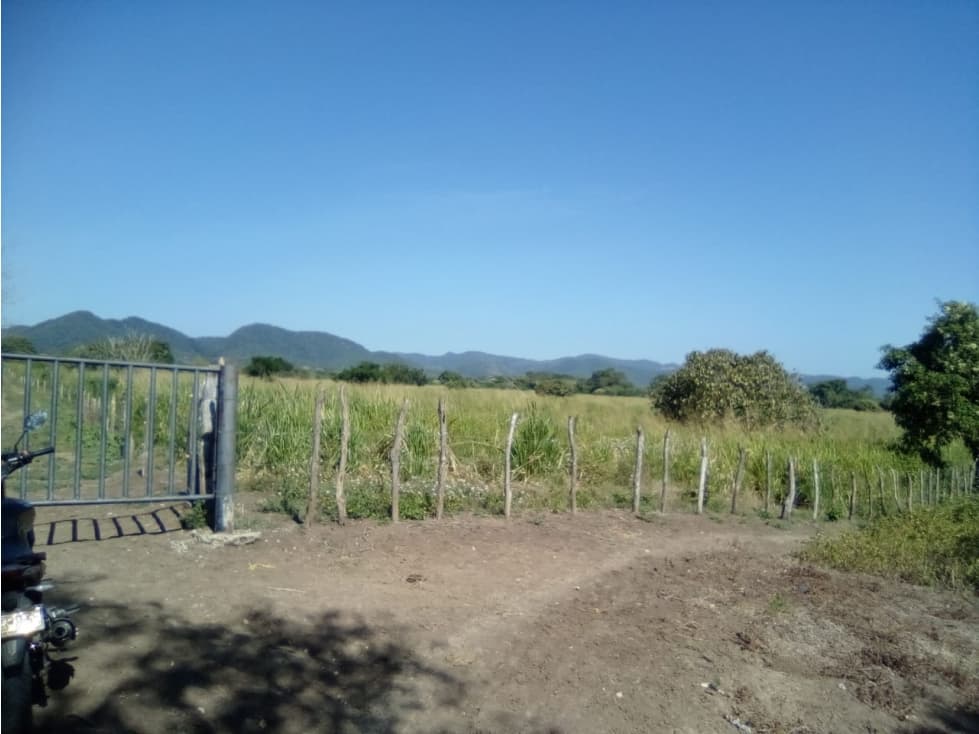 Repelón Finca en venta - 1