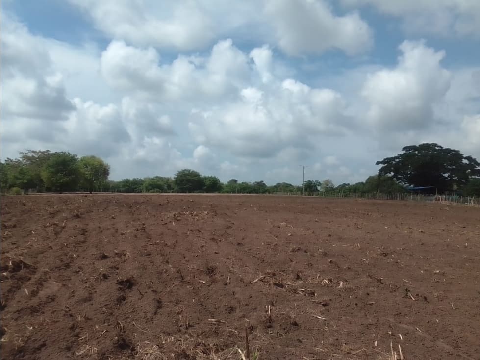 Polonuevo Finca en Venta - 1
