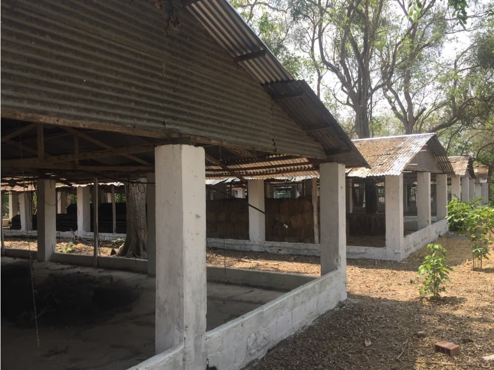 Baranoa Finca en Arriendo - 1