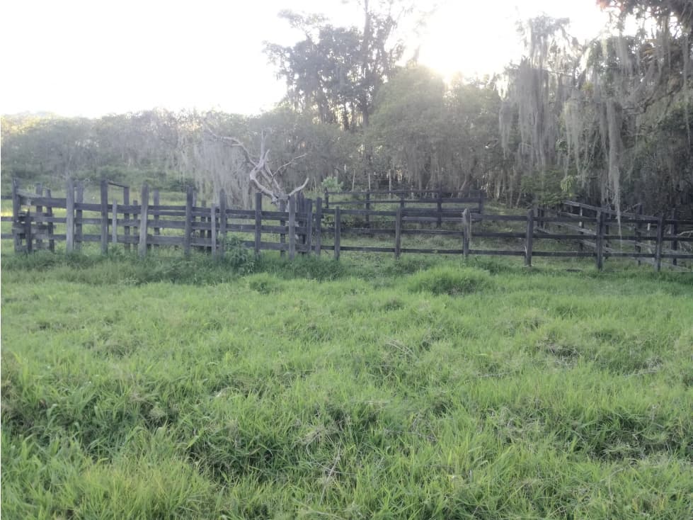 VENTA  FINCA CHIPATA SANTANDER - 1