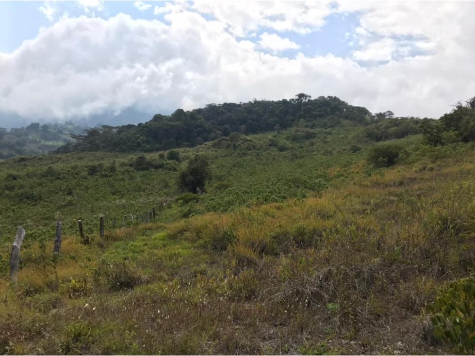 VENTA FINCA LA PAZ SANTANDER - 1