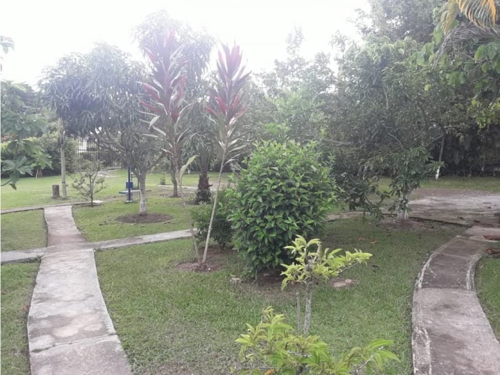 PARCELA EN VENTA VEREDA VEGAS RIONEGRO - 1