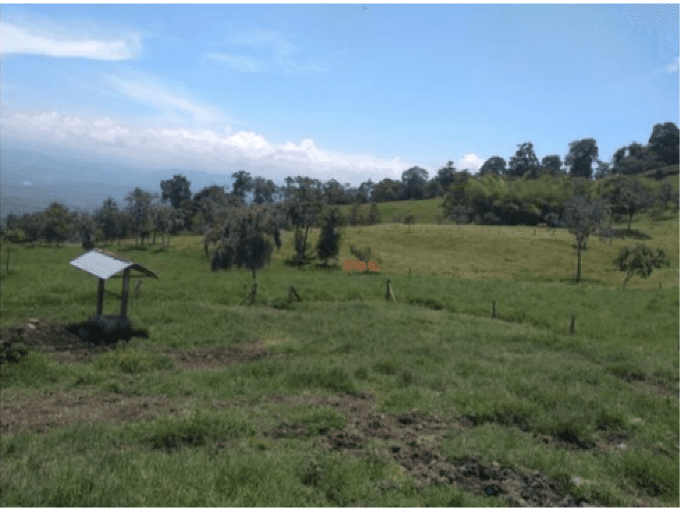 Venta Finca Buga, Valle del Cauca, Ganadera - 1