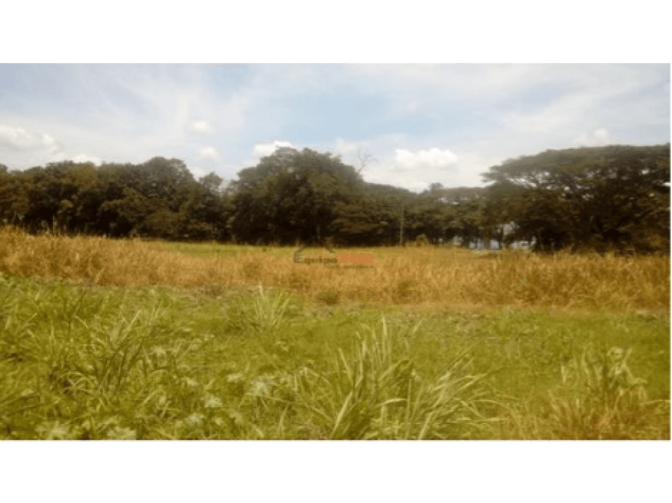 Venta Finca en Toro, Valle del Cauca, Ganadera - 1