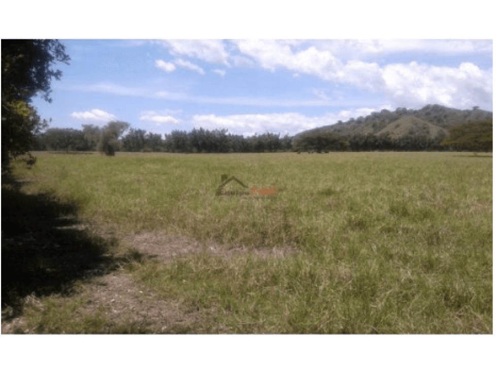 Venta Finca Candelaria, Valle, Cultivo de Caña - 1