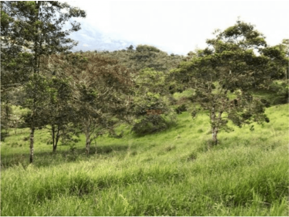 Venta Finca en Candelaria, Valle del Cauca, Cañera - 1