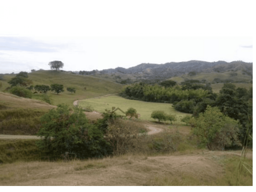 Venta Finca en Candelaria, Valle, Cañera - 1