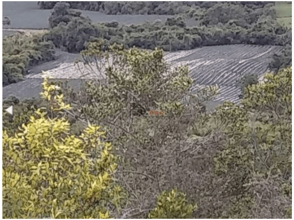 Venta Finca en Riofrio, Valle del Cauca, Ganadera - 1