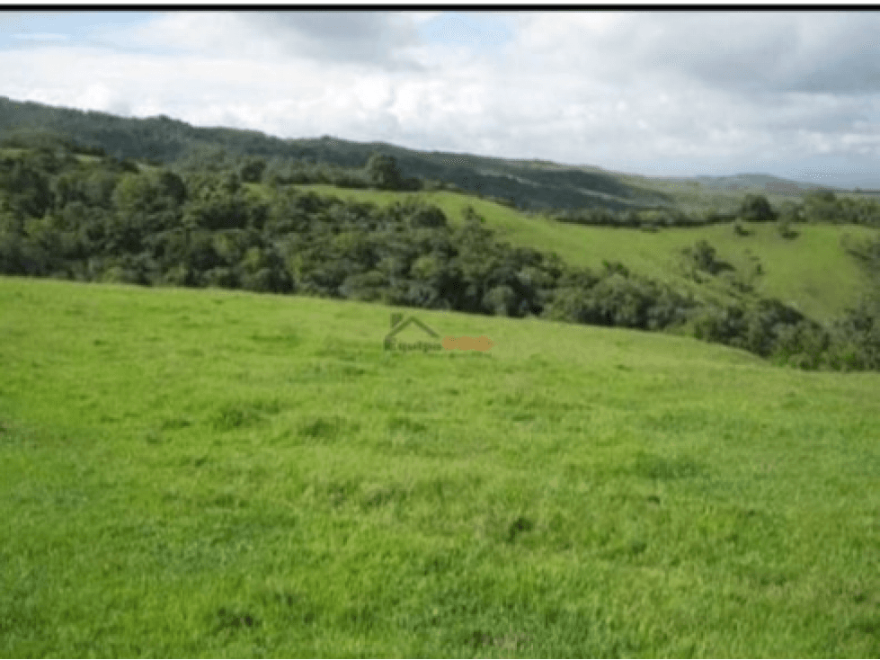 Venta Finca en Trujillo, Valle del Cauca, Ganadera - 1