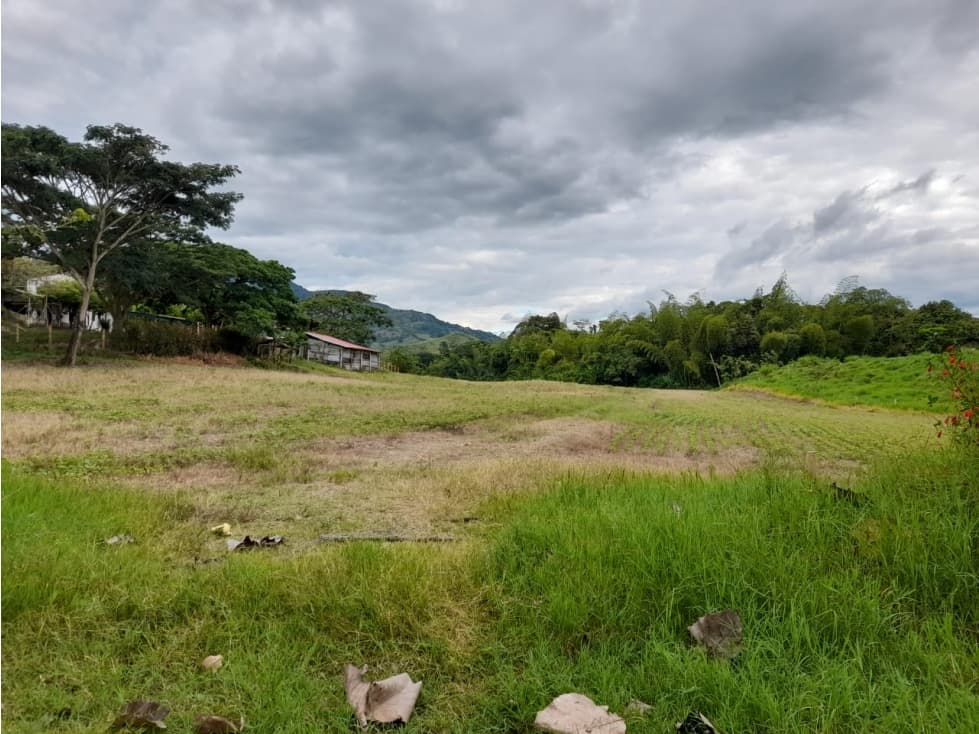 Venta Finca Ganadera en Toro, Norte del Valle - 1