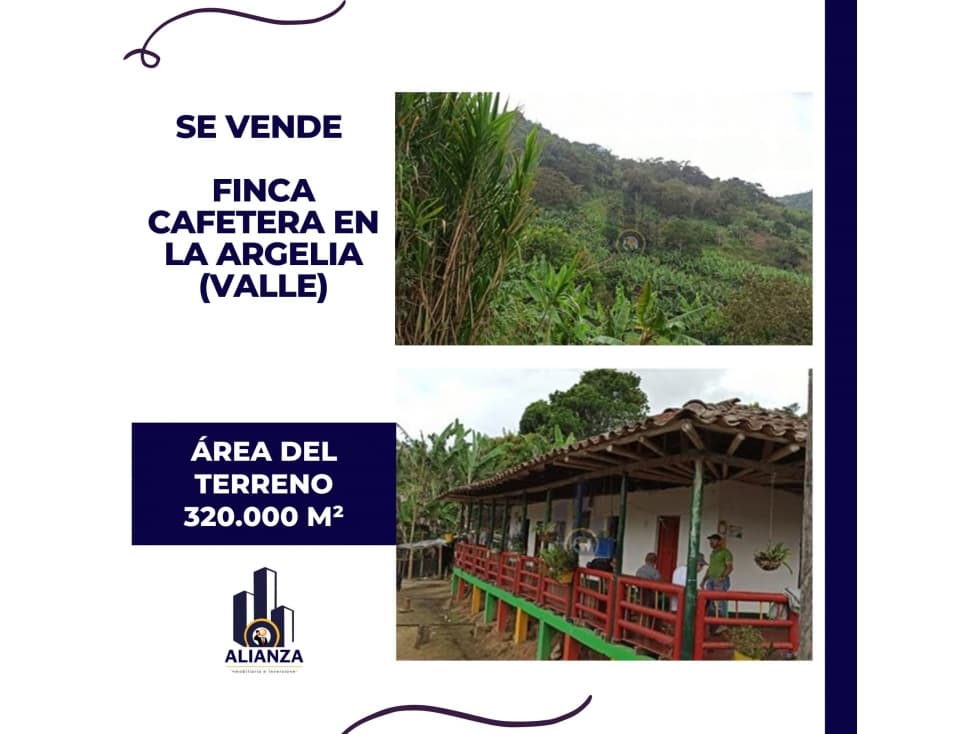 Venta de Finca Cafetera en la Argelia (Valle) - 1