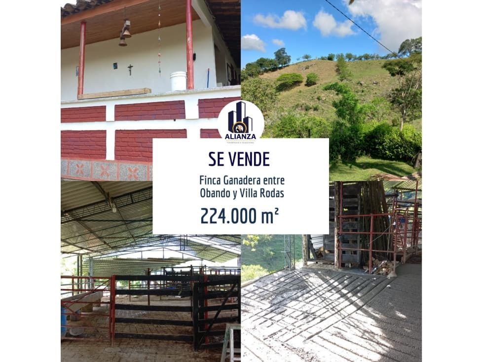 Venta Finca Ganadera entre  Obando y Villa Rodas - 1