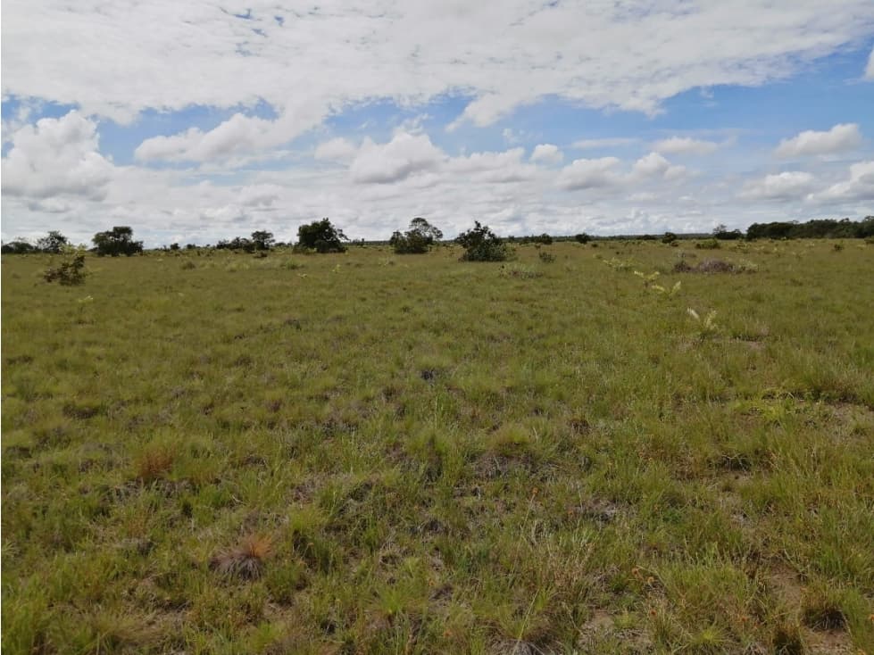 Finca en Venta en Puerto Carreño - 1