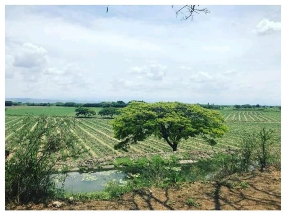 EN VENTA, LOTES  VEREDA PARRAGAS - 1