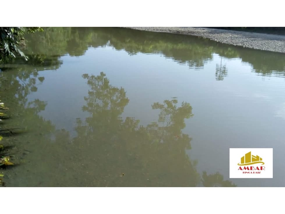 FINCA GANADERA 75 HECTAREAS - 1