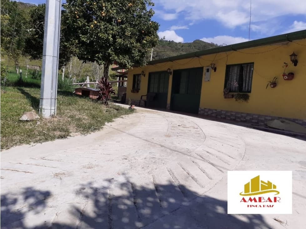 FINCA AGROPECUARIA - AVICOLA - 1