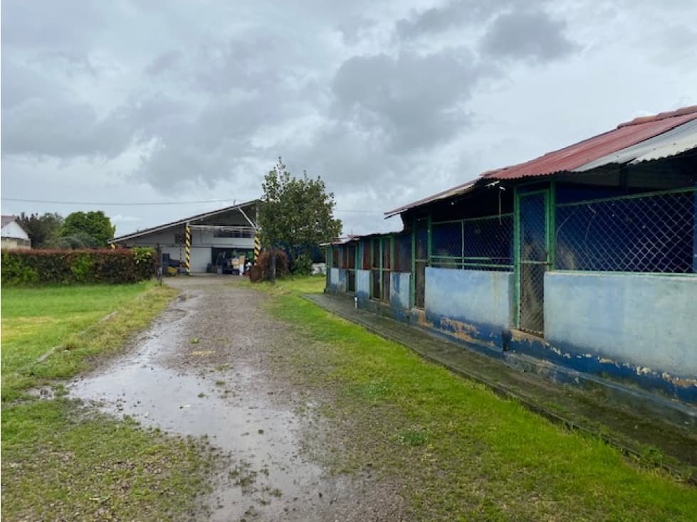 Arriendo bodega Cajica canelon - 1